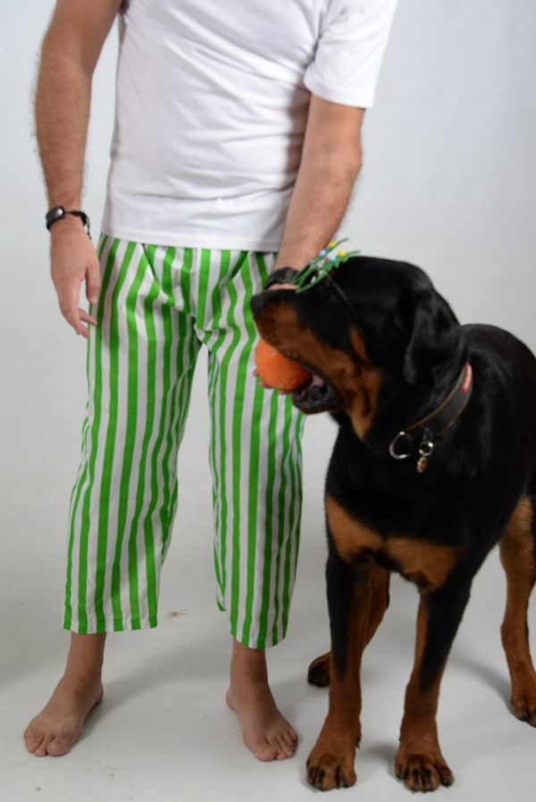 Green and White Stripes Jammies Dog 4