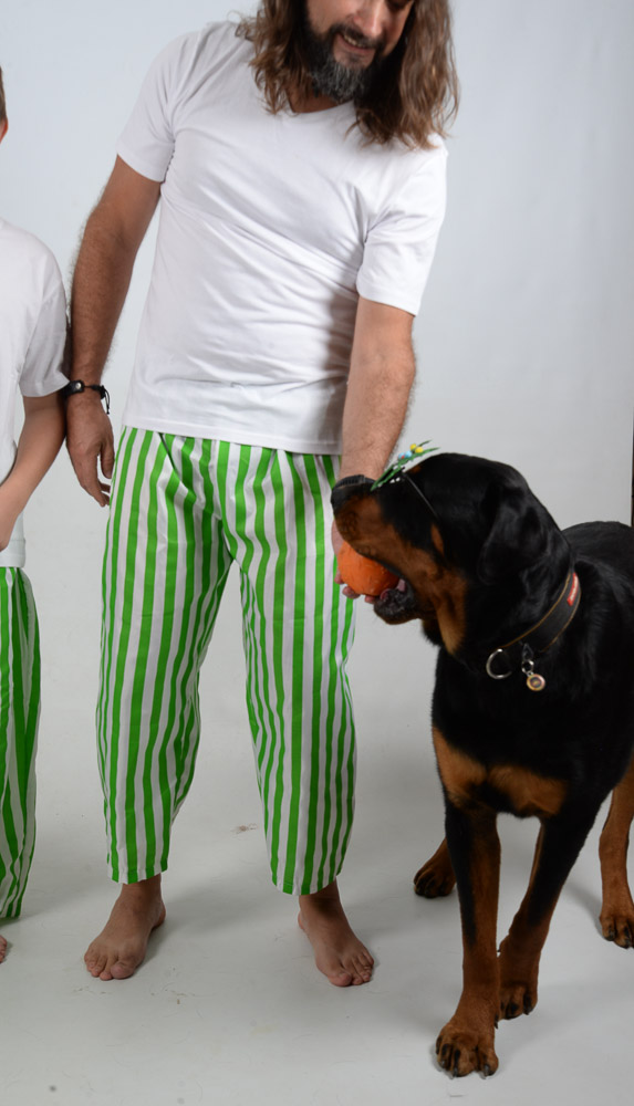 Green and White Stripes Jammies Dog 3